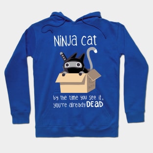 Ninja Cat - Cute Cat in a Box - Dangerous Kitty Hoodie